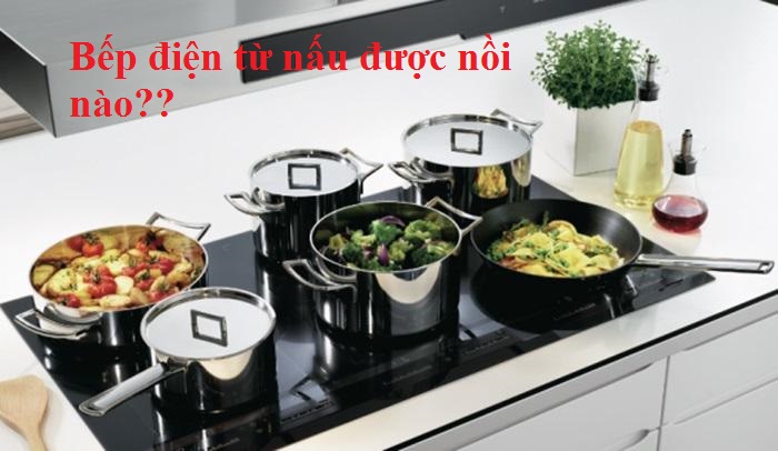 Bếp điện từ nấu được nồi nào hay tất cả nồi đều dùng được?